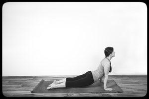 Urdhva Mukha Svanasana